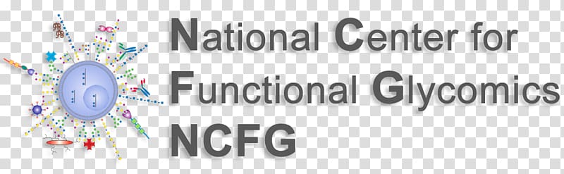 Consortium for Functional Glycomics National Center for Functional Glycomics Glycan Biochemistry, others transparent background PNG clipart