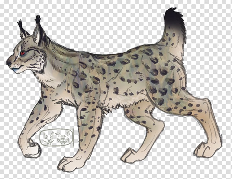 Whiskers Cheetah Wildcat Lynx, Eurasian Lynx transparent background PNG clipart