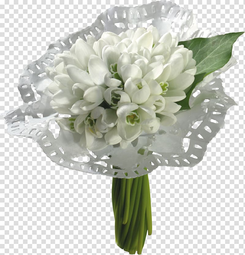 Cape jasmine Snowdrop Flower Desktop , snowdrop transparent background PNG clipart