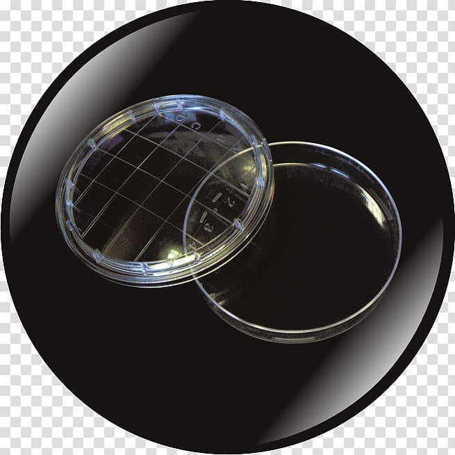 Petri Dishes Sterilization Plastic Diameter, Petri Dishes transparent background PNG clipart