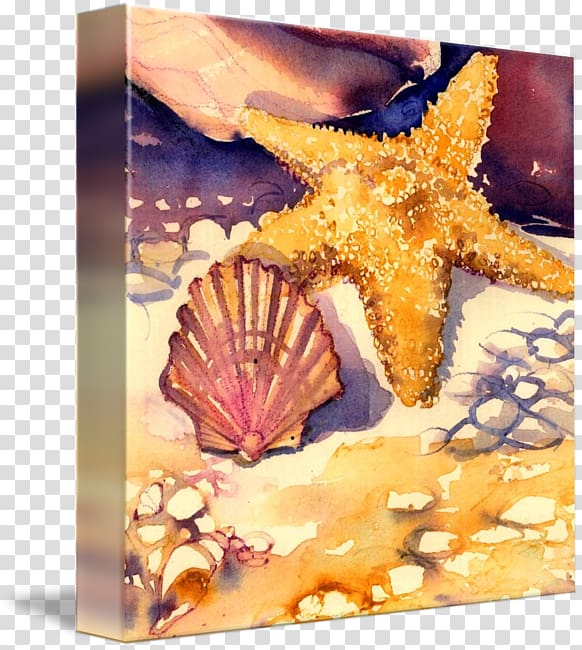 Starfish Seashell, shells and starfish transparent background PNG clipart