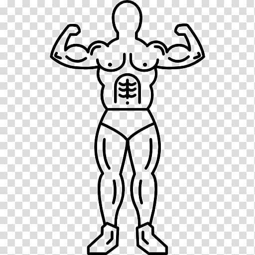 Muscle Muscular system Thumb, line transparent background PNG clipart