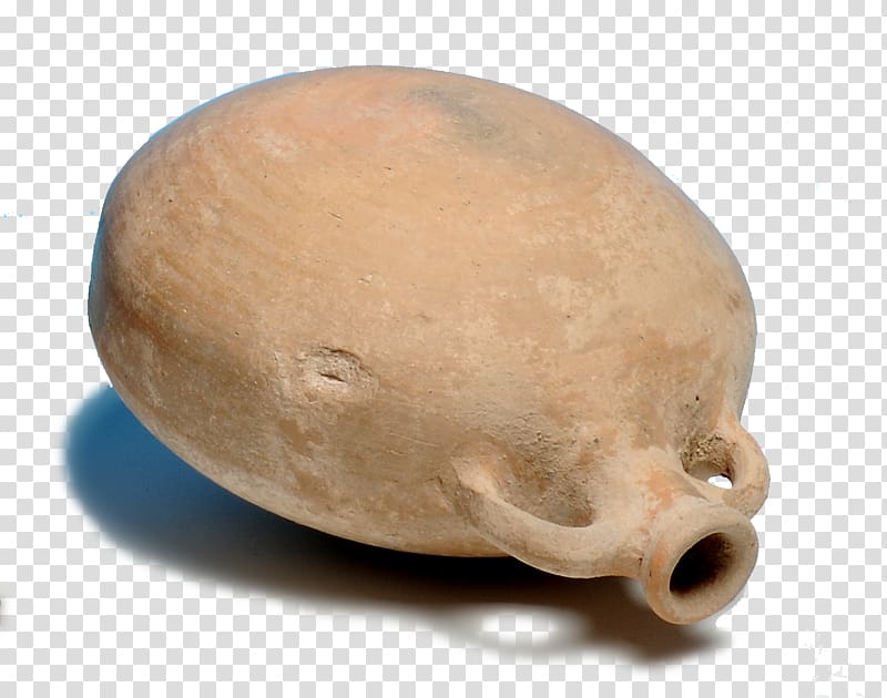 Snout Bone, archaeologist transparent background PNG clipart