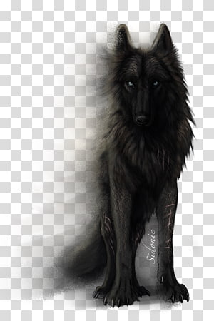 Southern Wolf by Sidonie on DeviantArt
