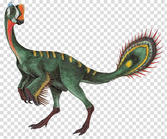 Nomingia Oviraptor Gigantoraptor Chirostenotes Conchoraptor, Dinosaur king transparent background PNG clipart