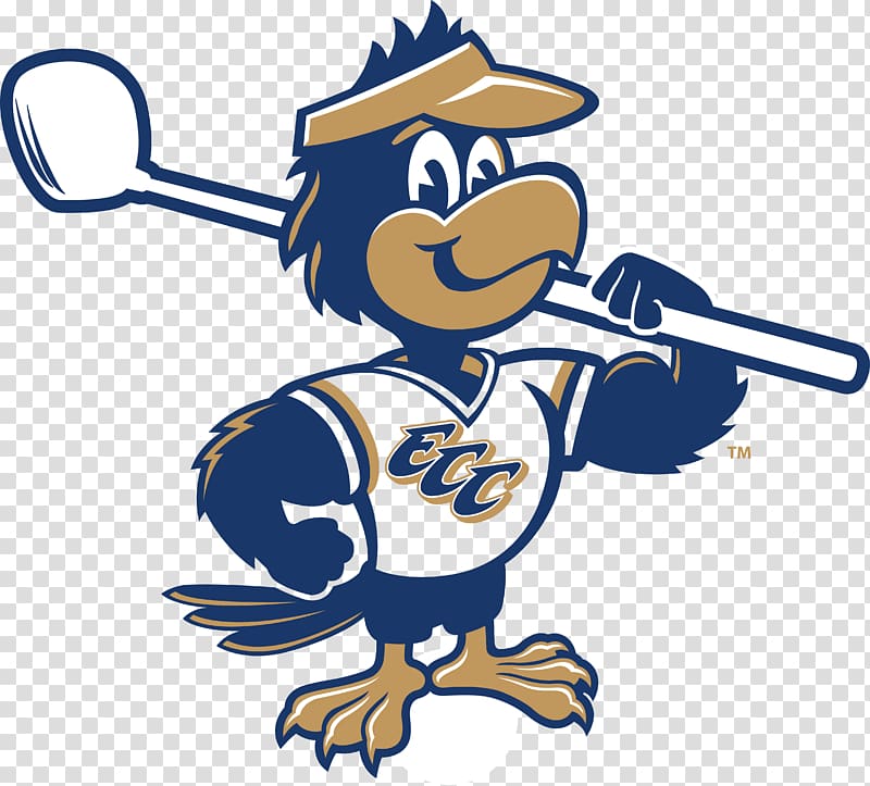 East Central College Falcon Sport Beak , falcon transparent background PNG clipart