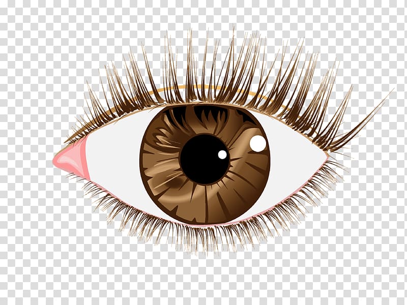 Eyelash extensions , Eye transparent background PNG clipart