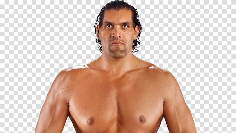 The Great Khali WWE Superstars 2017 WWE Battleground WWE Championship WrestleMania, wwe transparent background PNG clipart