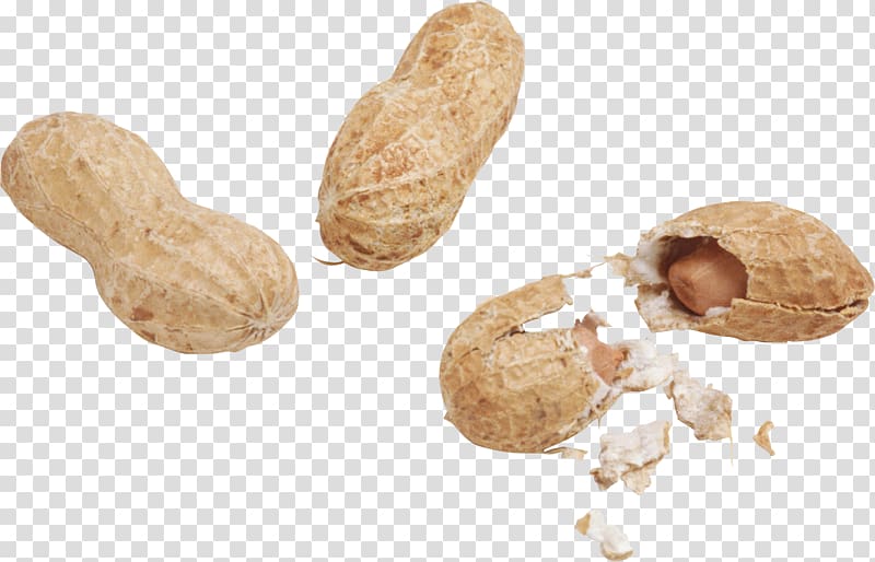 Peanut Desktop Portable Network Graphics , cartoon nuts transparent background PNG clipart