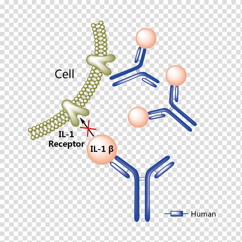 Canakinumab Ixekizumab Food and Drug Administration Bevacizumab Mechanism of action, others transparent background PNG clipart