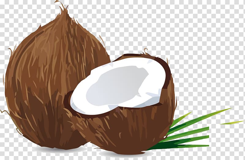 Coconut Material, coconut transparent background PNG clipart