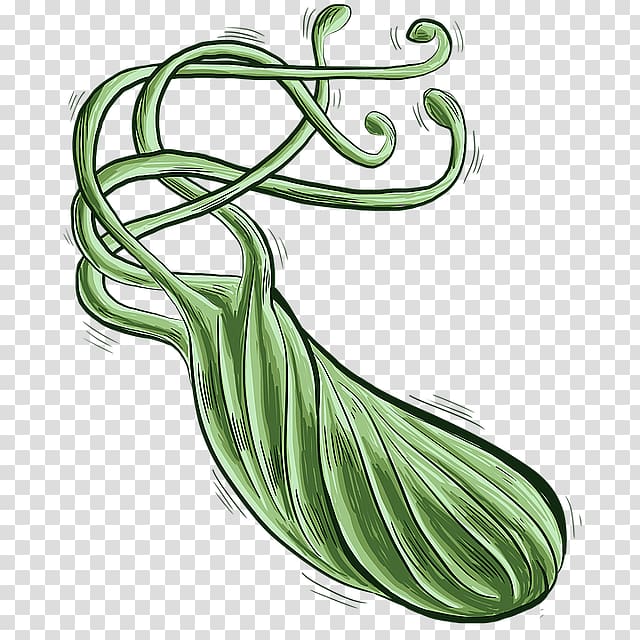 Helicobacter Pylori Infection Bacteria Peptic ulcer disease, bacteria cartoon transparent background PNG clipart