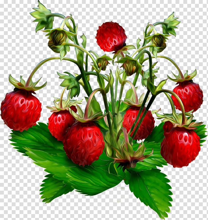Musk strawberry Gooseberry Wild strawberry Jostaberry, strawberry transparent background PNG clipart