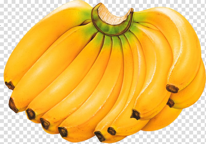 Cavendish banana Tropical fruit Food, banana transparent background PNG clipart