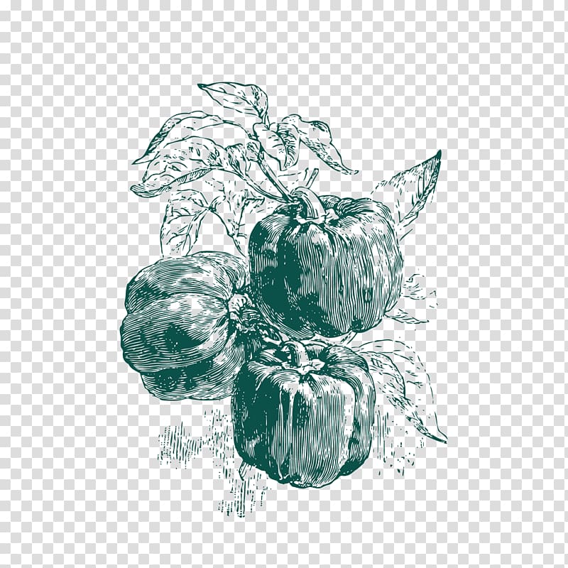 Drawing Seed Pixel, Sketch free chili transparent background PNG clipart