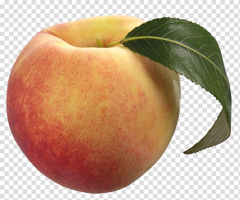 Peach Fruit , Peach Free transparent background PNG clipart