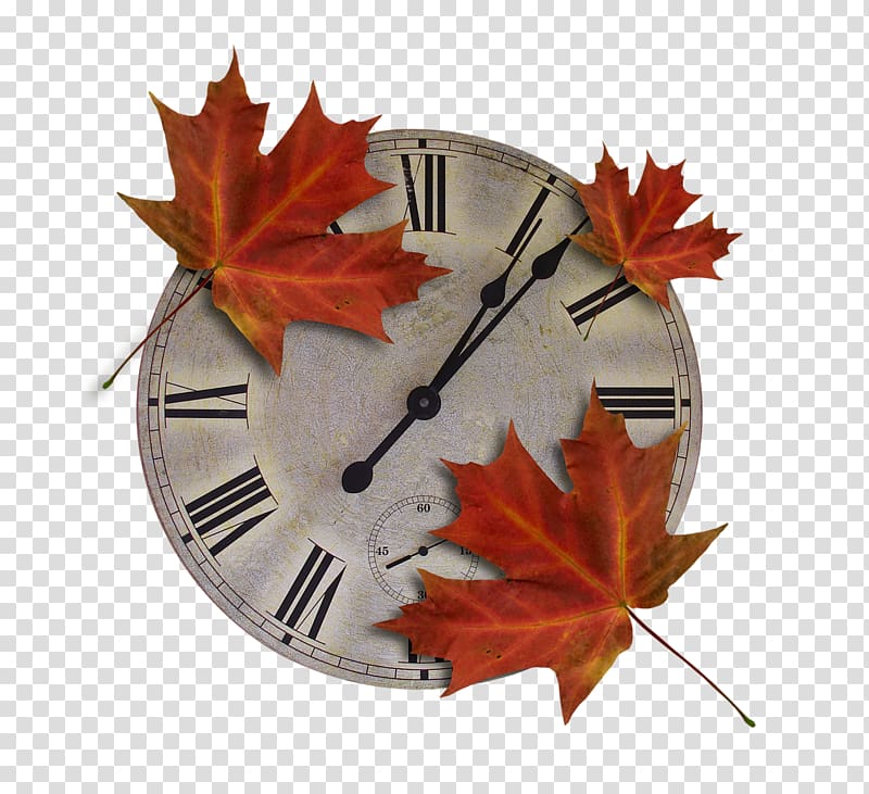 Autumn Daytime Summer Gold , Watch with leaves transparent background PNG clipart