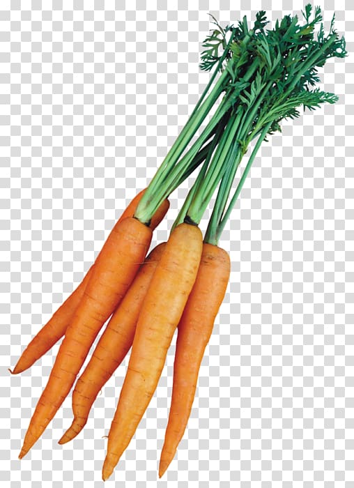 Carrot Vegetable Presentation , Daucus Carota transparent background PNG clipart