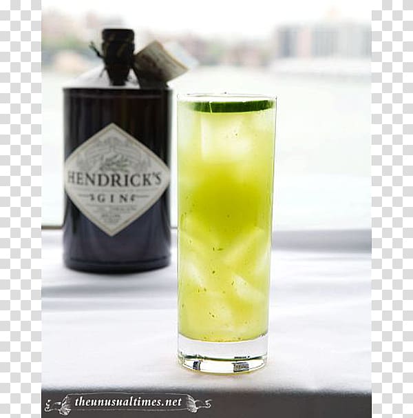 Harvey Wallbanger Lemonade Cocktail Hendrick\'s Gin Non-alcoholic drink, Cucumber Lemonade transparent background PNG clipart
