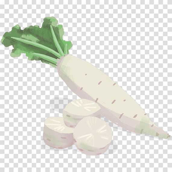 Vegetable Biocoop Tropaeolum tuberosum Black Spanish Radish Daikon, vegetable transparent background PNG clipart