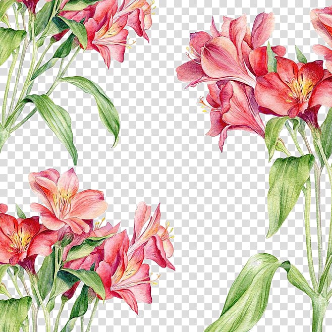 Watercolor painting Drawing Illustration, Red flowers background transparent background PNG clipart