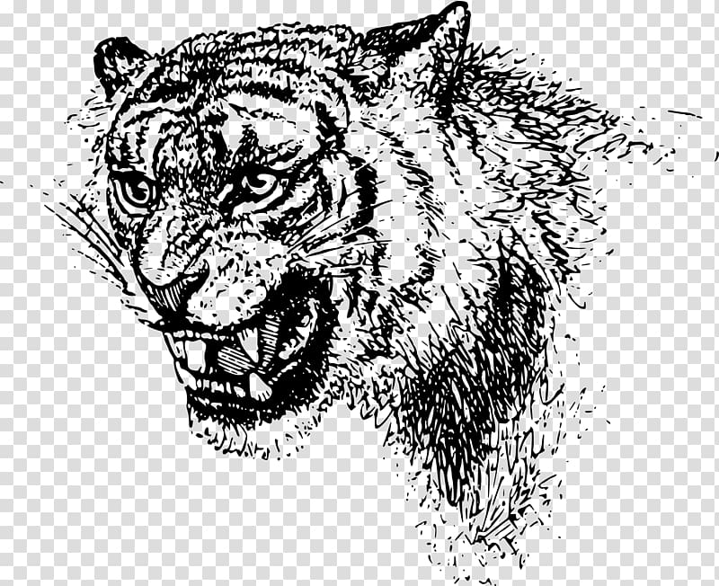 Tiger Felidae Lion , tiger head transparent background PNG clipart