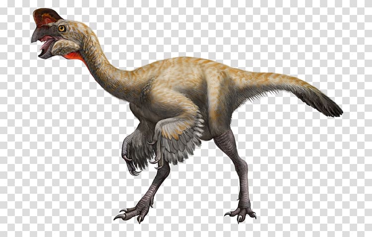 Velociraptor Struthiomimus Oviraptor Styracosaurus Muttaburrasaurus, dinosaurs transparent background PNG clipart