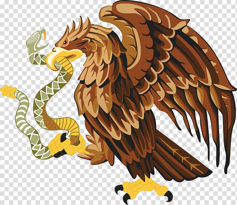 hawk eating snake artwork, Mexico Snake Bald Eagle , eagle transparent background PNG clipart