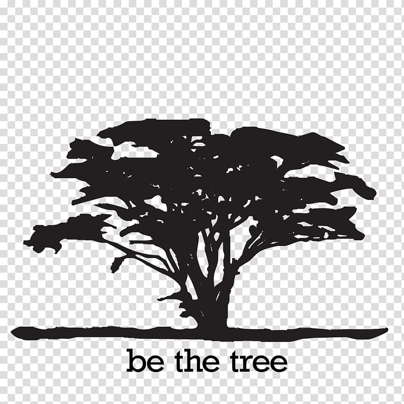 Logo Digital Safari Multimedia Academy Tree, safari transparent background PNG clipart