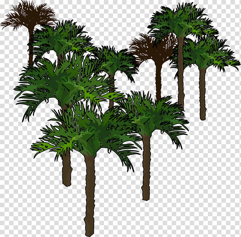 Asian palmyra palm Arecaceae Information and Communications Technology Area, technology transparent background PNG clipart