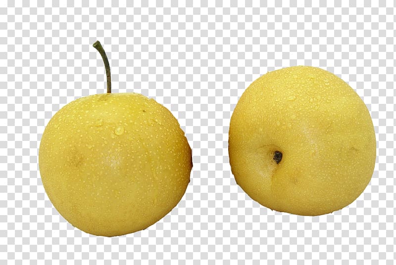 Sweet Lemon Citron Citrus junos Asian pear, Two pear transparent background PNG clipart