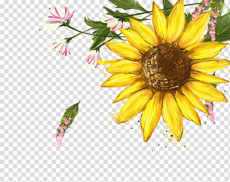 sunflower illustration, Flower, sunflower transparent background PNG clipart