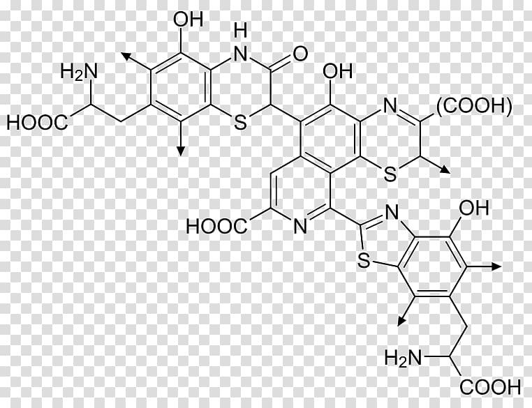 Feomelanin Eumelanin Chemical structure Pigment, molecular structure background transparent background PNG clipart