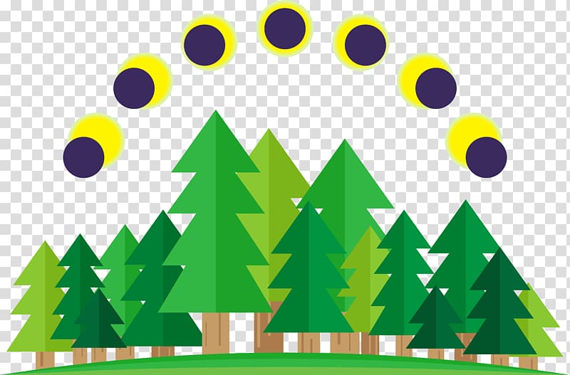 Solar eclipse Illustration, Pine sun transparent background PNG clipart
