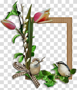 Frames , others transparent background PNG clipart thumbnail