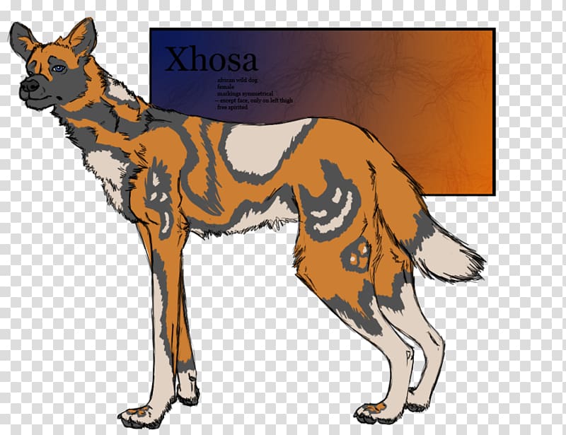 Dog breed Dingo Red fox Art, Dog transparent background PNG clipart