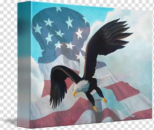 Bald Eagle Poster Printing 2019 MINI Cooper, eagle transparent background PNG clipart