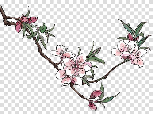 Peach Blossom Drawing , Plum creative cartoon transparent background ...