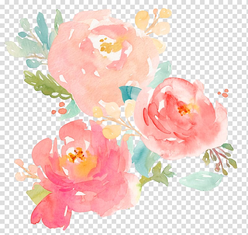 roses illustration, Watercolor painting Peony , bouquet watercolor transparent background PNG clipart