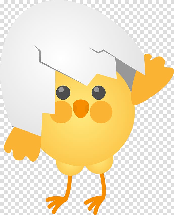 Chicken Cartoon , Cute cartoon chick egg shell eggs broken shell transparent background PNG clipart