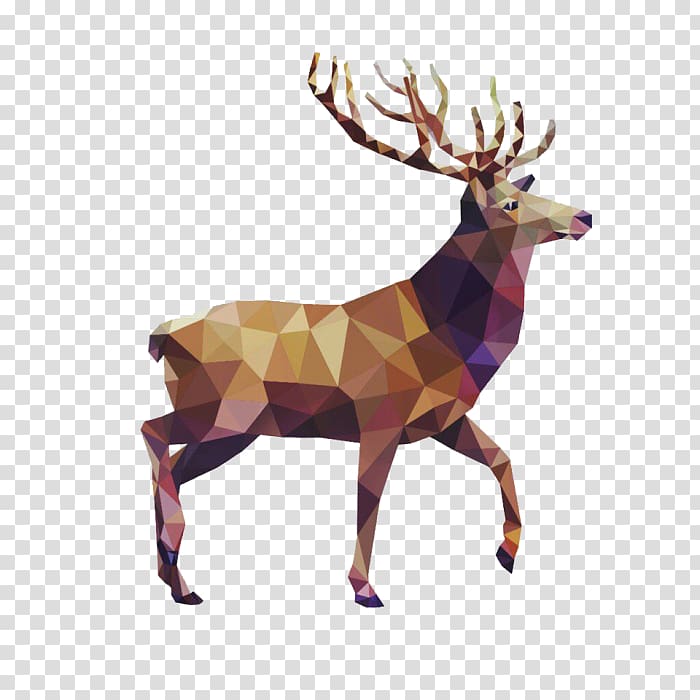 Deer Drawing Transparent Background Png Cliparts Free Download