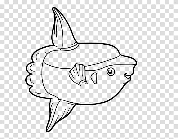 Ocean sunfish Coloring book Sunfishes, fish transparent background PNG clipart