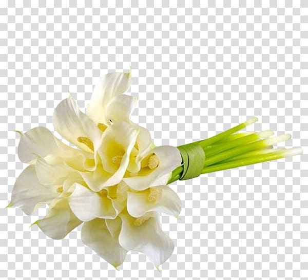 Flower bouquet Lily of the valley, A bunch of lily of the valley transparent background PNG clipart