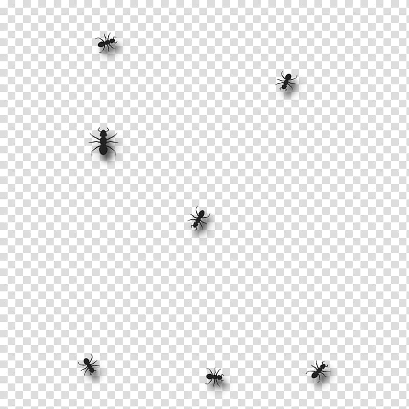 Insect Black and white Monochrome Invertebrate, ants transparent background PNG clipart
