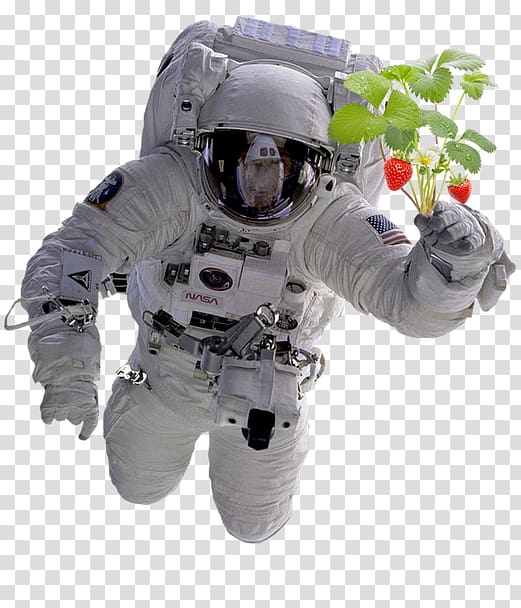 Fallen Astronaut Outer space Space suit NASA, astronaut transparent background PNG clipart