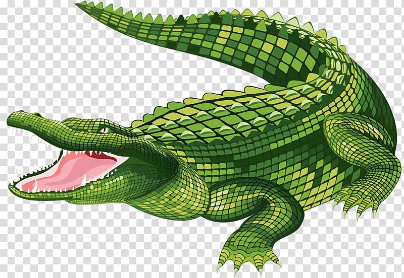 green crocodile , the Crocodile Alligator , Crocodile mouth transparent background PNG clipart