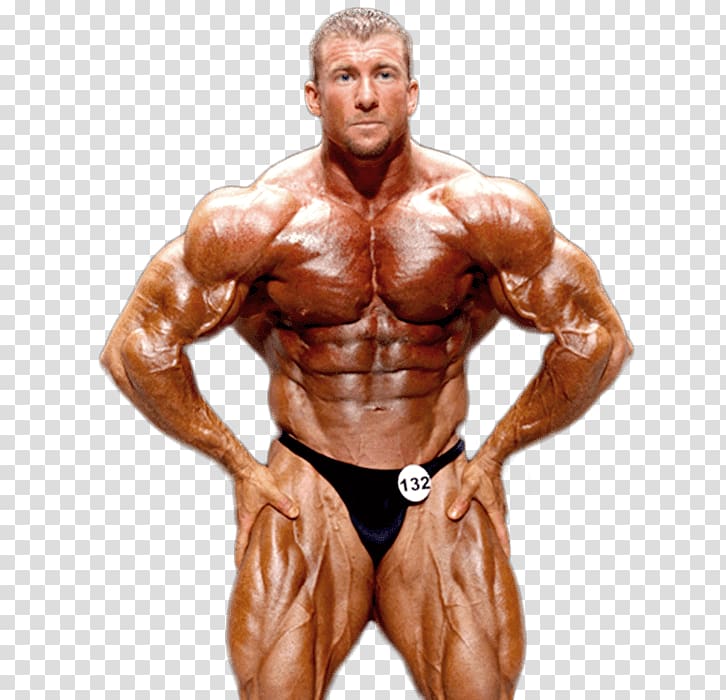 Bodybuilding transparent background PNG clipart