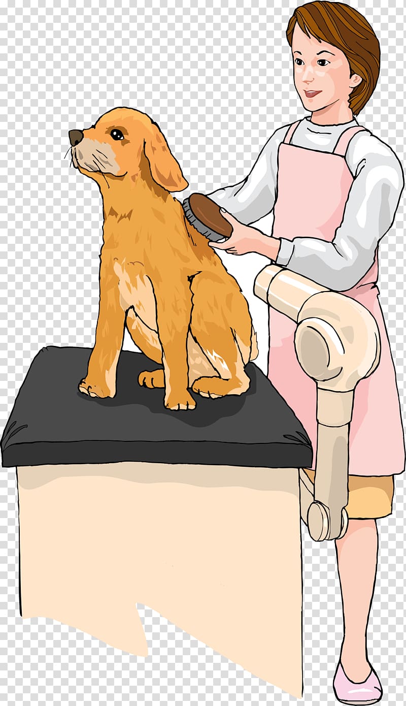 Labrador Retriever Puppy Cat Dog grooming, Cartoon pet beauty dog ​​comb illustration illustration transparent background PNG clipart