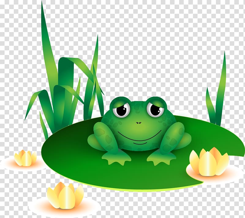 True frog Tree frog Toad, Frog transparent background PNG clipart