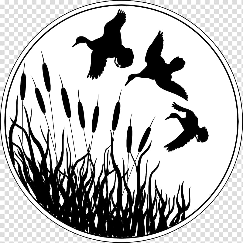 Duck Deer Waterfowl hunting , flock transparent background PNG clipart